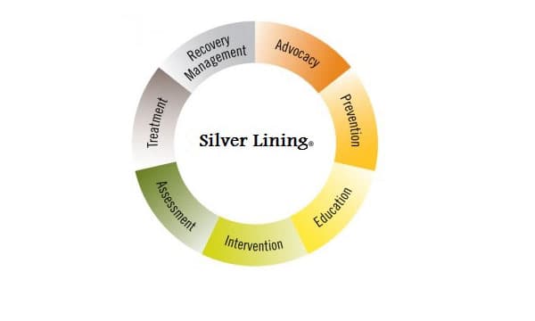 Silver Lining treatment cycle diagram: advocacy, prevention, education, intervention, assessment and recovery management